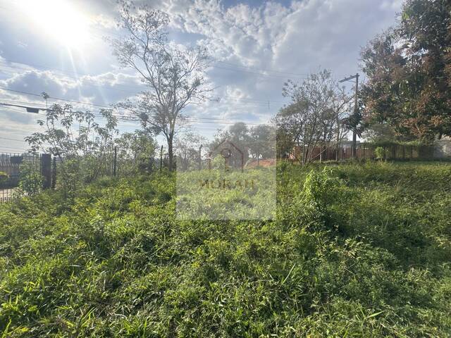 #284 - Área para Venda em Cotia - SP - 2
