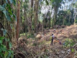 Terreno em condomínio para Venda em Cotia - 4